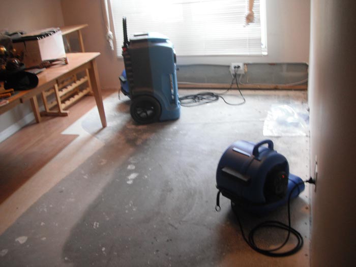 Clearwater Water Damage
