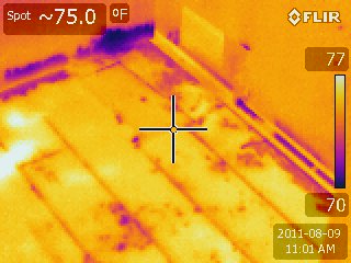Infrared Leak Detection Discovering Mold Growth