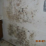 Mold Damage from Air Conditioner