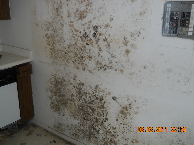 Mold Damage from Air Conditioner