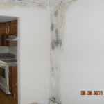 Mold Damage from Air Conditioner