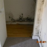 Mold Damage from Air Conditioner