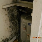 Mold Damage from Air Conditioner