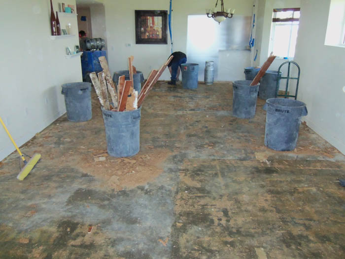 Water Damaged Hardwood Floors: BEFORE