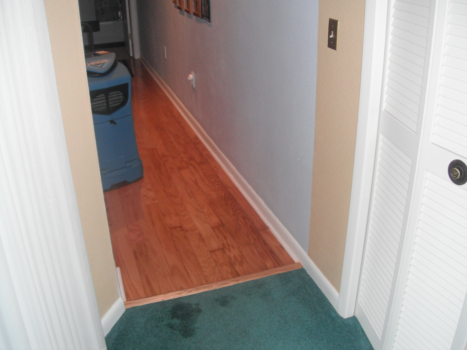 Water Damaged Wood Floors