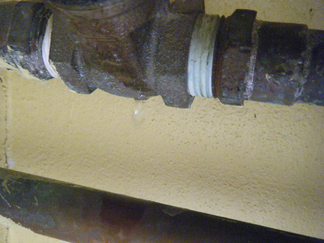 Water Leak