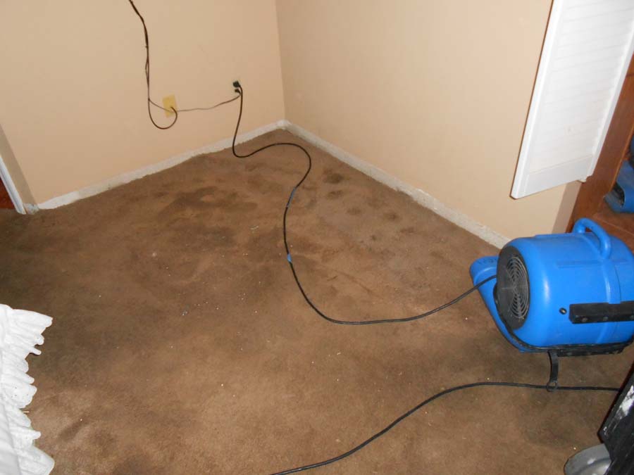 Water Damage Can Lead To Black Mold