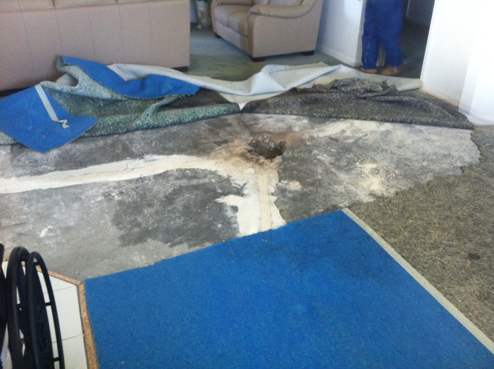 Water Damaged Carpet & Padding