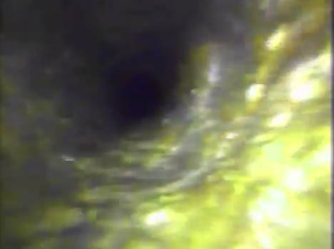 Hole in Sewer Drain Pipe Brandon Florida