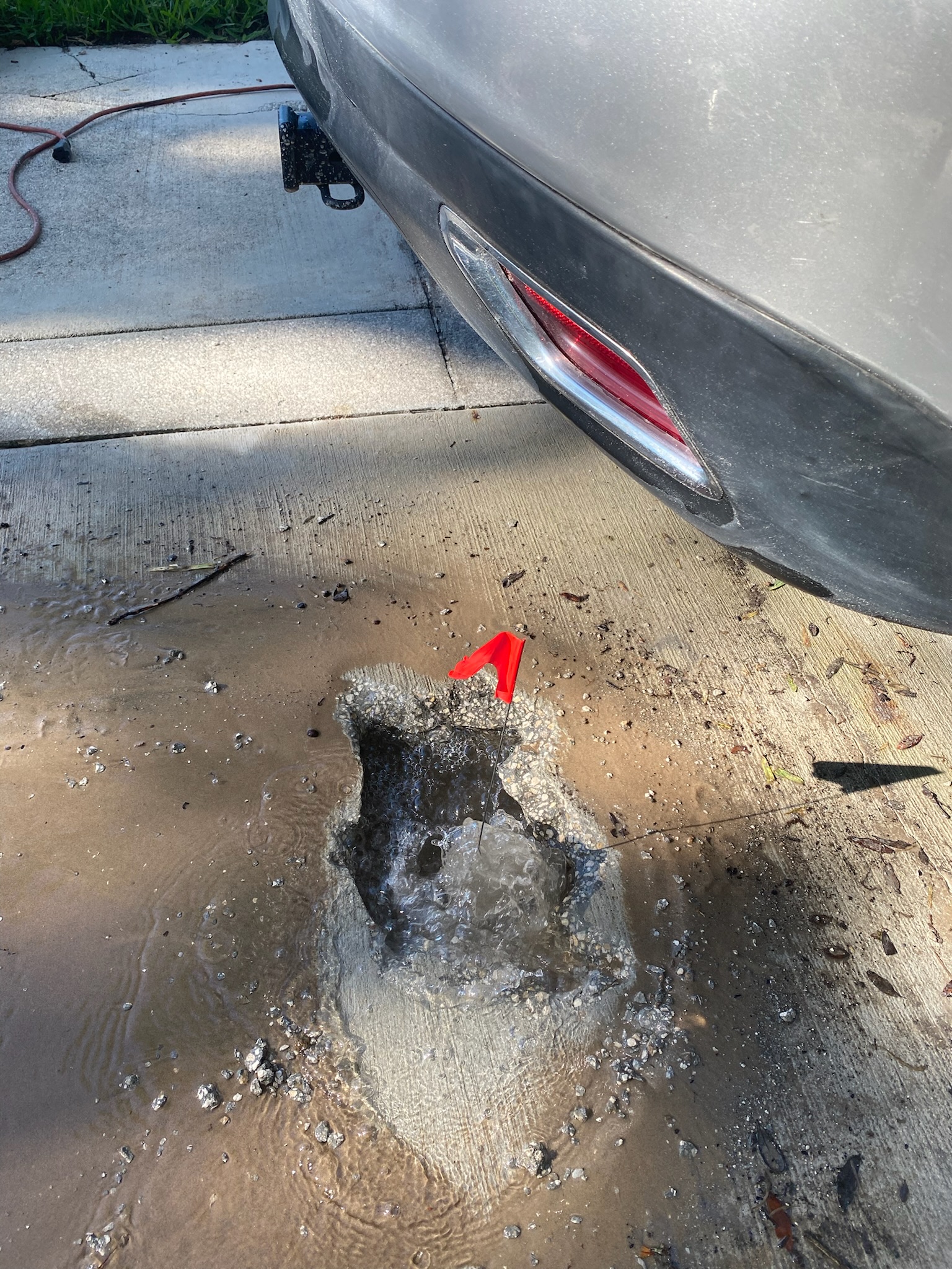 Puritycpl: Understanding The Leak'S Significance - htxqbeq