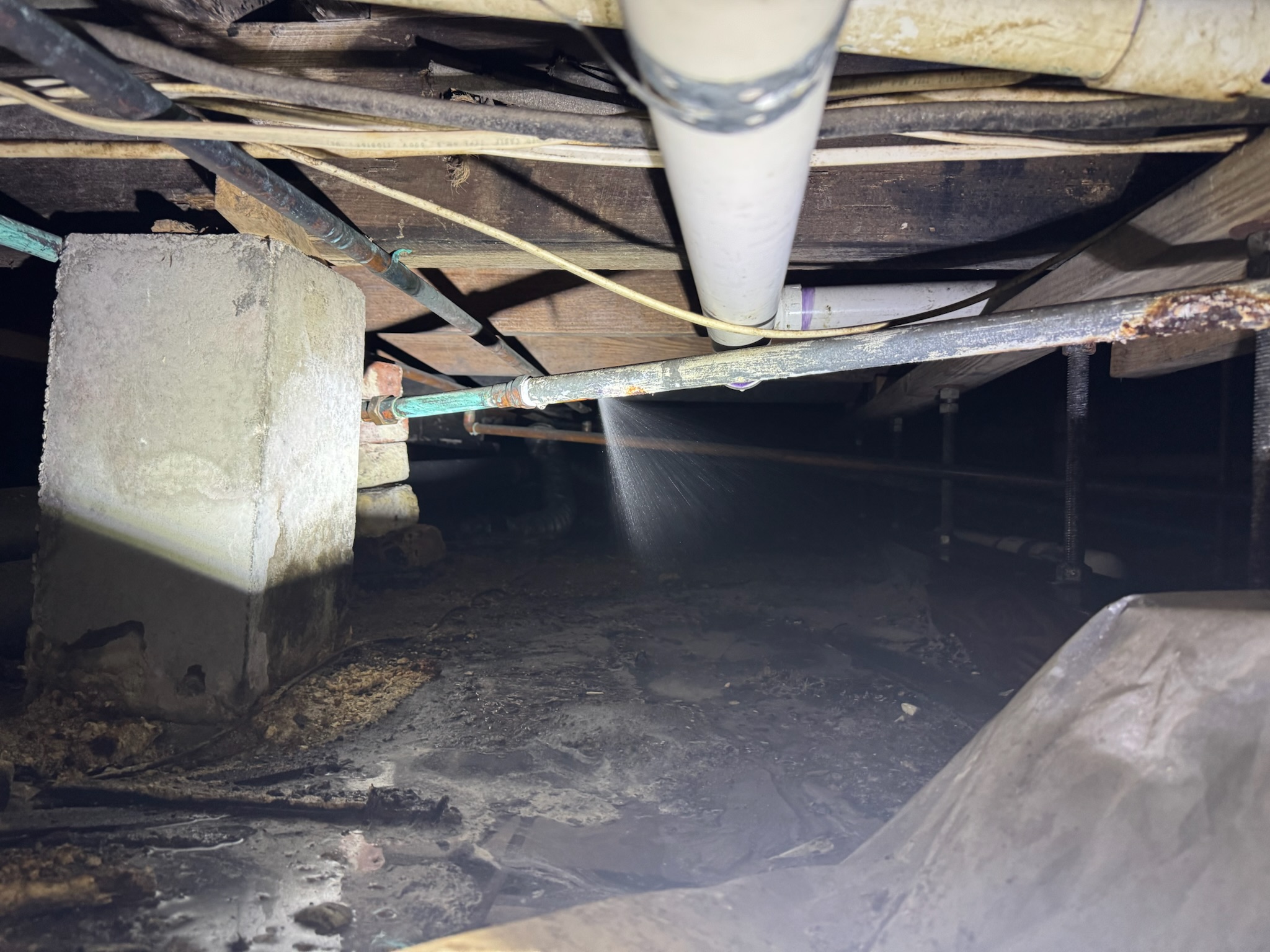 I Investigated The Madiruvee Leak – Here’S What I Found. - 4u7mho0