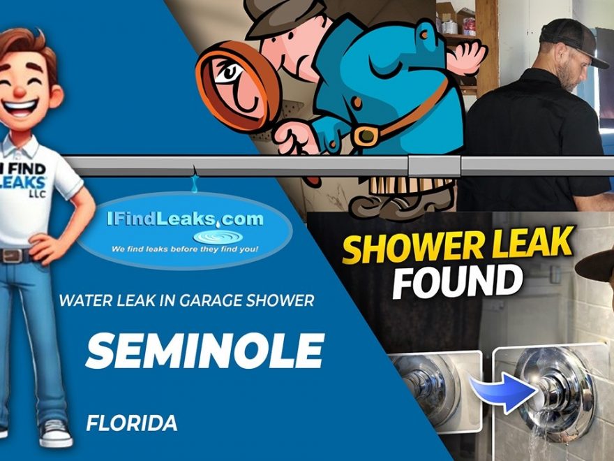 leak-seminole